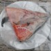 智利鮭魚頭 | 楊家海鮮王國